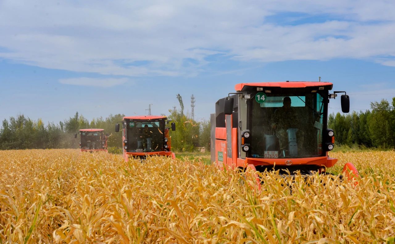 敦煌種業(yè)公司:播撒“希望種” 耕耘“夢(mèng)想田”